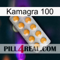 Kamagra 100 levitra1